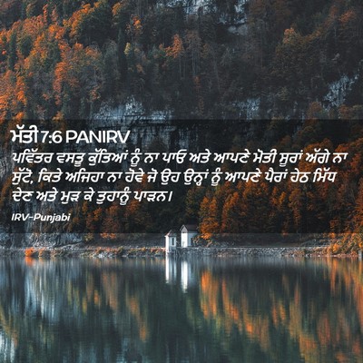 Picture 02 - ਮੱਤੀ 7:6 PANIRV - ਪਵਿੱਤਰ ਵਸਤੂ - Bible Verse Picture
