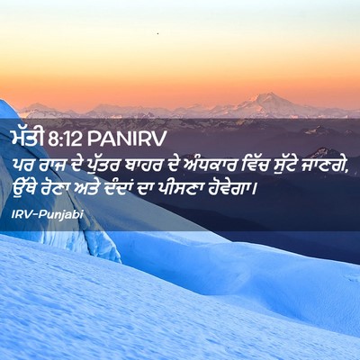 Picture 02 - ਮੱਤੀ 8:12 PANIRV - ਪਰ ਰਾਜ ਦੇ ਪੁੱਤਰ - Bible Verse Picture