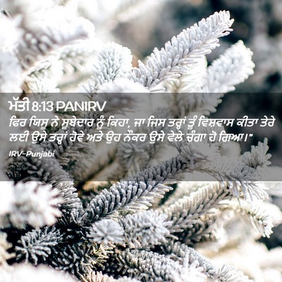 Picture 02 - ਮੱਤੀ 8:13 PANIRV - ਫਿਰ ਯਿਸੂ ਨੇ - Bible Verse Picture