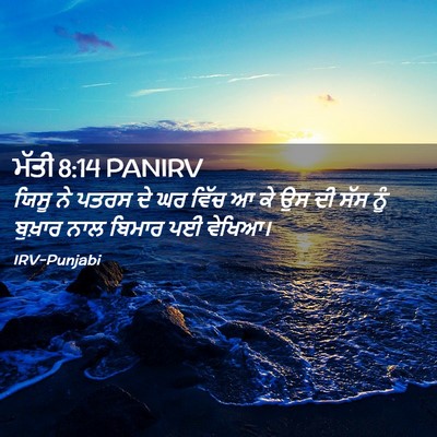 Picture 02 - ਮੱਤੀ 8:14 PANIRV - ਯਿਸੂ ਨੇ ਪਤਰਸ ਦੇ ਘਰ - Bible Verse Picture
