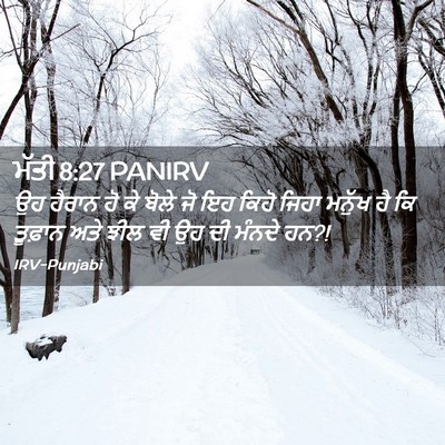 Picture 02 - ਮੱਤੀ 8:27 PANIRV - ਉਹ ਹੈਰਾਨ ਹੋ ਕੇ ਬੋਲੇ - Bible Verse Picture