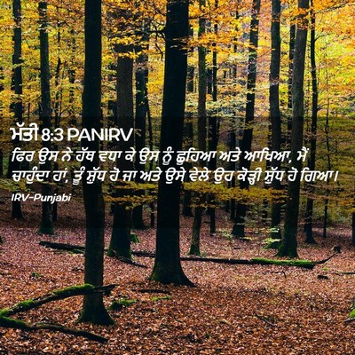 Picture 02 - ਮੱਤੀ 8:3 PANIRV - ਫਿਰ ਉਸ ਨੇ ਹੱਥ ਵਧਾ - Bible Verse Picture