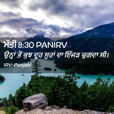 Picture 02 - ਮੱਤੀ 8:30 PANIRV - ਉਨ੍ਹਾਂ ਤੋਂ ਕੁਝ ਦੂਰ - Bible Verse Picture