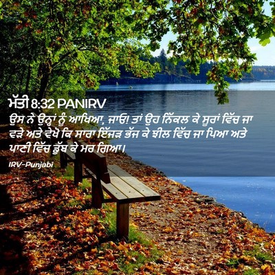 Picture 02 - ਮੱਤੀ 8:32 PANIRV - ਉਸ ਨੇ ਉਨ੍ਹਾਂ ਨੂੰ - Bible Verse Picture