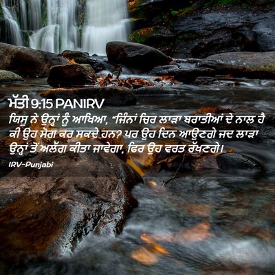 Picture 02 - ਮੱਤੀ 9:15 PANIRV - ਯਿਸੂ ਨੇ ਉਨ੍ਹਾਂ ਨੂੰ - Bible Verse Picture