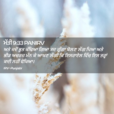 Picture 02 - ਮੱਤੀ 9:33 PANIRV - ਅਤੇ ਜਦੋਂ ਭੂਤ ਕੱਢਿਆ - Bible Verse Picture