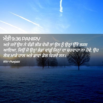 Picture 02 - ਮੱਤੀ 9:36 PANIRV - ਅਤੇ ਜਦੋਂ ਉਸ ਨੇ ਵੱਡੀ - Bible Verse Picture