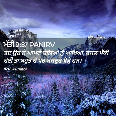 Picture 02 - ਮੱਤੀ 9:37 PANIRV - ਤਦ ਉਹ ਨੇ ਆਪਣੇ - Bible Verse Picture