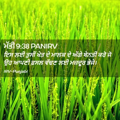 Picture 02 - ਮੱਤੀ 9:38 PANIRV - ਇਸ ਲਈ ਤੁਸੀਂ ਖੇਤ ਦੇ - Bible Verse Picture