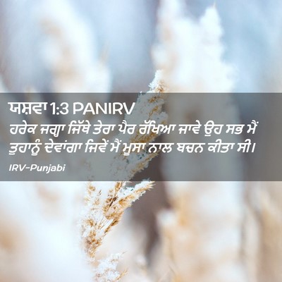 Picture 02 - ਯਸ਼ਵਾ 1:3 PANIRV - ਹਰੇਕ ਜਗ੍ਹਾ ਜਿੱਥੇ - Bible Verse Picture