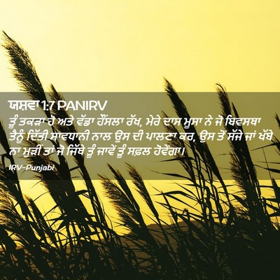 Picture 02 - ਯਸ਼ਵਾ 1:7 PANIRV - ਤੂੰ ਤਕੜਾ ਹੋ ਅਤੇ - Bible Verse Picture