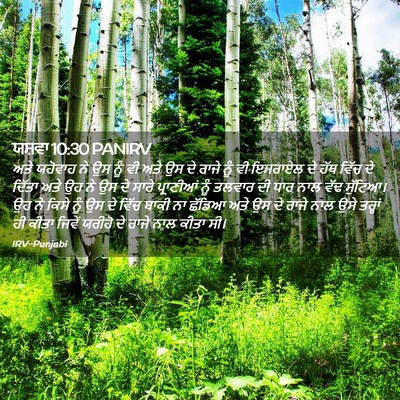 Picture 02 - ਯਸ਼ਵਾ 10:30 PANIRV - ਅਤੇ ਯਹੋਵਾਹ ਨੇ ਉਸ - Bible Verse Picture