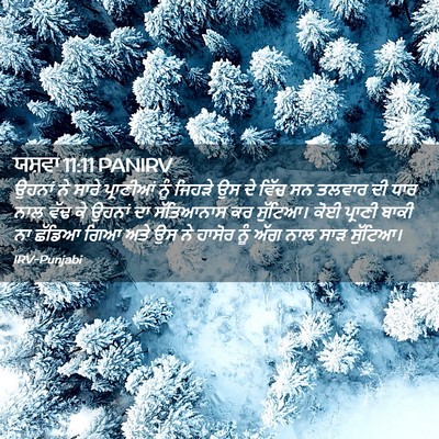 Picture 02 - ਯਸ਼ਵਾ 11:11 PANIRV - ਉਹਨਾਂ ਨੇ ਸਾਰੇ - Bible Verse Picture