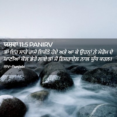 Picture 02 - ਯਸ਼ਵਾ 11:5 PANIRV - ਤਾਂ ਇਹ ਸਾਰੇ ਰਾਜੇ - Bible Verse Picture