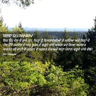 Picture 02 - ਯਸ਼ਵਾ 12:1 PANIRV - ਇਹ ਉਹ ਦੇਸ ਦੇ ਰਾਜੇ - Bible Verse Picture