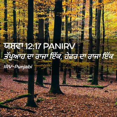 Picture 02 - ਯਸ਼ਵਾ 12:17 PANIRV - ਤੱਪੂਆਹ ਦਾ ਰਾਜਾ ਇੱਕ, - Bible Verse Picture