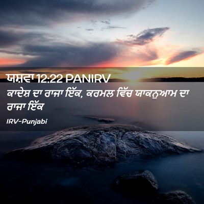 Picture 02 - ਯਸ਼ਵਾ 12:22 PANIRV - ਕਾਦੇਸ਼ ਦਾ ਰਾਜਾ ਇੱਕ, - Bible Verse Picture