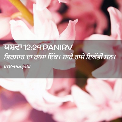 Picture 02 - ਯਸ਼ਵਾ 12:24 PANIRV - ਤਿਰਸਾਹ ਦਾ ਰਾਜਾ - Bible Verse Picture