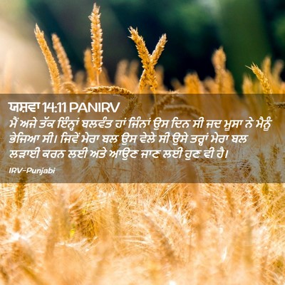 Picture 02 - ਯਸ਼ਵਾ 14:11 PANIRV - ਮੈਂ ਅਜੇ ਤੱਕ - Bible Verse Picture