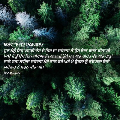 Picture 02 - ਯਸ਼ਵਾ 14:12 PANIRV - ਹੁਣ ਮੈਨੂੰ ਇਹ ਪਹਾੜੀ - Bible Verse Picture