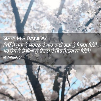 Picture 02 - ਯਸ਼ਵਾ 14:3 PANIRV - ਕਿਉਂ ਜੋ ਮੂਸਾ ਨੇ - Bible Verse Picture