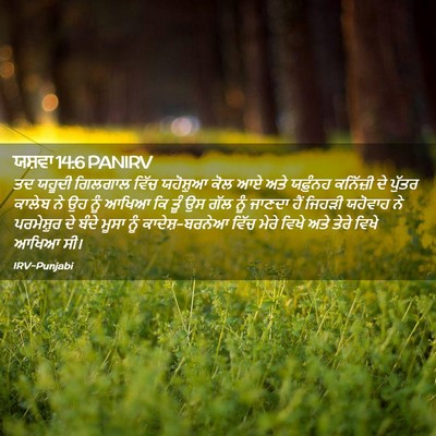 Picture 02 - ਯਸ਼ਵਾ 14:6 PANIRV - ਤਦ ਯਹੂਦੀ ਗਿਲਗਾਲ - Bible Verse Picture
