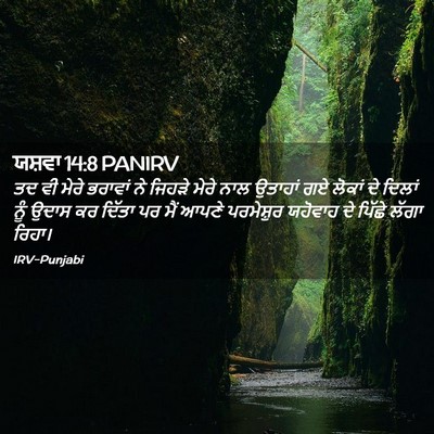 Picture 02 - ਯਸ਼ਵਾ 14:8 PANIRV - ਤਦ ਵੀ ਮੇਰੇ ਭਰਾਵਾਂ - Bible Verse Picture
