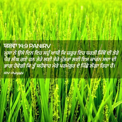 Picture 02 - ਯਸ਼ਵਾ 14:9 PANIRV - ਮੂਸਾ ਨੇ ਉਸੇ ਦਿਨ ਇਹ - Bible Verse Picture