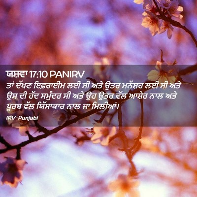 Picture 02 - ਯਸ਼ਵਾ 17:10 PANIRV - ਤਾਂ ਦੱਖਣ ਇਫ਼ਰਾਈਮ - Bible Verse Picture