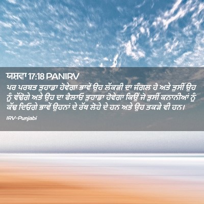 Picture 02 - ਯਸ਼ਵਾ 17:18 PANIRV - ਪਰ ਪਰਬਤ ਤੁਹਾਡਾ - Bible Verse Picture