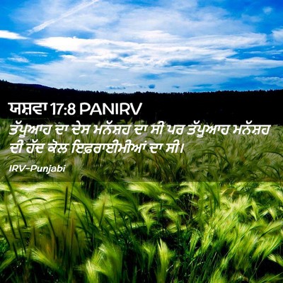Picture 02 - ਯਸ਼ਵਾ 17:8 PANIRV - ਤੱਪੂਆਹ ਦਾ ਦੇਸ - Bible Verse Picture