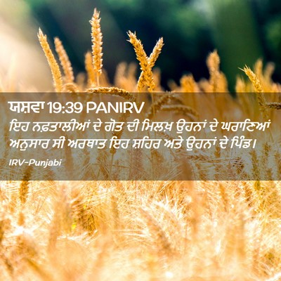 Picture 02 - ਯਸ਼ਵਾ 19:39 PANIRV - ਇਹ ਨਫ਼ਤਾਲੀਆਂ ਦੇ - Bible Verse Picture