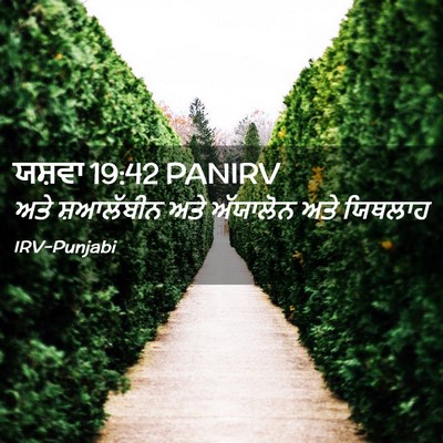 Picture 02 - ਯਸ਼ਵਾ 19:42 PANIRV - ਅਤੇ ਸ਼ਆਲੱਬੀਨ ਅਤੇ - Bible Verse Picture
