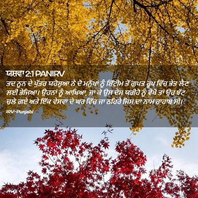 Picture 02 - ਯਸ਼ਵਾ 2:1 PANIRV - ਤਦ ਨੂਨ ਦੇ ਪੁੱਤਰ - Bible Verse Picture