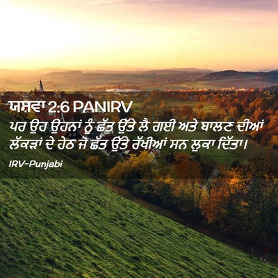 Picture 02 - ਯਸ਼ਵਾ 2:6 PANIRV - ਪਰ ਉਹ ਉਹਨਾਂ ਨੂੰ ਛੱਤ - Bible Verse Picture