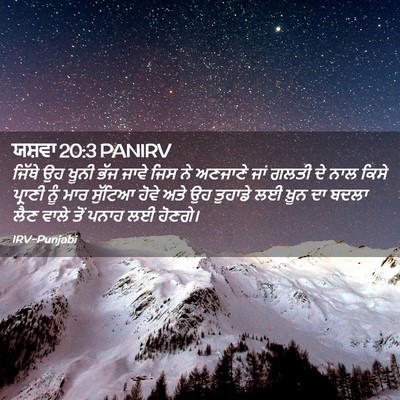 Picture 02 - ਯਸ਼ਵਾ 20:3 PANIRV - ਜਿੱਥੇ ਉਹ ਖੂਨੀ ਭੱਜ - Bible Verse Picture