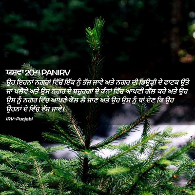 Picture 02 - ਯਸ਼ਵਾ 20:4 PANIRV - ਉਹ ਇਹਨਾਂ ਨਗਰਾਂ - Bible Verse Picture