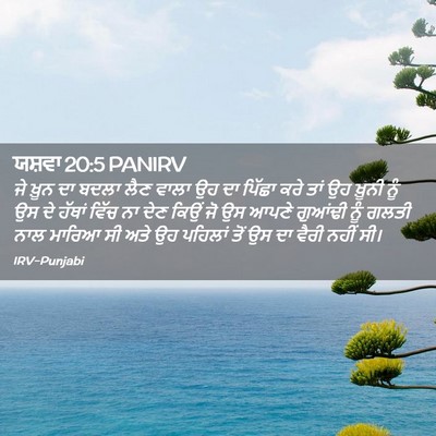 Picture 02 - ਯਸ਼ਵਾ 20:5 PANIRV - ਜੇ ਖ਼ੂਨ ਦਾ ਬਦਲਾ ਲੈਣ - Bible Verse Picture