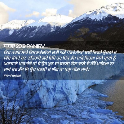 Picture 02 - ਯਸ਼ਵਾ 20:9 PANIRV - ਇਹ ਨਗਰ ਸਾਰੇ - Bible Verse Picture