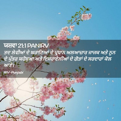 Picture 02 - ਯਸ਼ਵਾ 21:1 PANIRV - ਤਦ ਲੇਵੀਆਂ ਦੇ - Bible Verse Picture