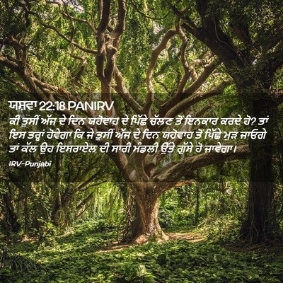 Picture 02 - ਯਸ਼ਵਾ 22:18 PANIRV - ਕੀ ਤੁਸੀਂ ਅੱਜ ਦੇ ਦਿਨ - Bible Verse Picture