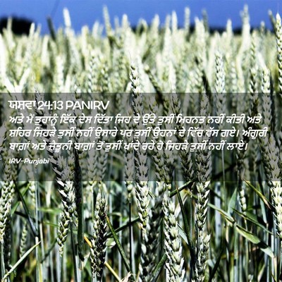 Picture 02 - ਯਸ਼ਵਾ 24:13 PANIRV - ਅਤੇ ਮੈਂ ਤੁਹਾਨੂੰ - Bible Verse Picture