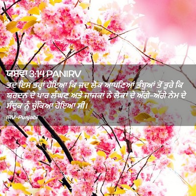 Picture 02 - ਯਸ਼ਵਾ 3:14 PANIRV - ਤਦ ਇਸ ਤਰ੍ਹਾਂ ਹੋਇਆ - Bible Verse Picture
