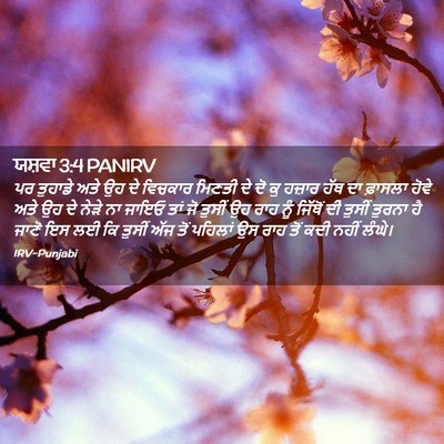 Picture 02 - ਯਸ਼ਵਾ 3:4 PANIRV - ਪਰ ਤੁਹਾਡੇ ਅਤੇ ਉਹ ਦੇ - Bible Verse Picture