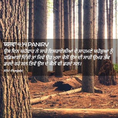 Picture 02 - ਯਸ਼ਵਾ 4:14 PANIRV - ਉਸ ਦਿਨ ਯਹੋਵਾਹ ਨੇ - Bible Verse Picture