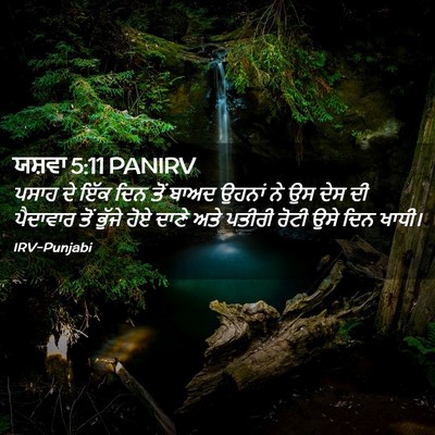 Picture 02 - ਯਸ਼ਵਾ 5:11 PANIRV - ਪਸਾਹ ਦੇ ਇੱਕ ਦਿਨ ਤੋਂ - Bible Verse Picture