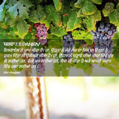 Picture 02 - ਯਸ਼ਵਾ 7:11 PANIRV - ਇਸਰਾਏਲ ਨੇ ਪਾਪ ਕੀਤਾ - Bible Verse Picture