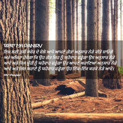 Picture 02 - ਯਸ਼ਵਾ 7:14 PANIRV - ਇਸ ਲਈ ਤੁਸੀਂ ਸਵੇਰ ਦੇ - Bible Verse Picture