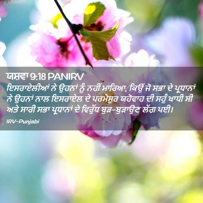 Picture 02 - ਯਸ਼ਵਾ 9:18 PANIRV - ਇਸਰਾਏਲੀਆਂ ਨੇ - Bible Verse Picture