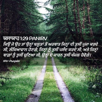 Picture 02 - ਯਸਾਯਾਹ 1:29 PANIRV - ਕਿਉਂ ਜੋ ਉਹ ਤਾਂ - Bible Verse Picture